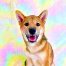 기쁜 유치원 이미지