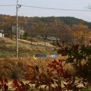 오돌개마을 이미지