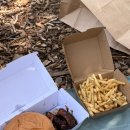 (주)로얄문화투어 | 🇦🇺호주 시드니 6박 7일 일정 DAY2 - 코알라와 아침 먹고 바다 갔다가 워킹 투어까지