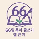 5day향
