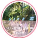 미광유치원 이미지