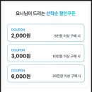 동반자 | 중국 상하이 전자 입국신고서 QR 작성 방법｜종이 비교 동반자 입국심사 후기