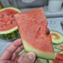 우곡농장 이미지