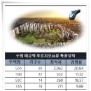 SK유림 이미지