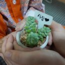 성은실버타운 이미지