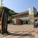 평택시 농업생태원1 이미지