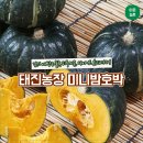 태진 농장 이미지