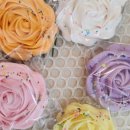 쿠키톡톡 이미지