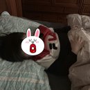 연탄에꾸운닭발 이미지