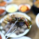 원산마을 이미지