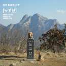 노고산 등산로 | 북한산 뷰 애견동반 트래킹 양주 노고산 / 수도권 가볼만한곳 일몰 맛집 등산 추천, 백패킹 가능