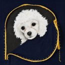 강아지 그리다 이미지