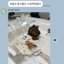 건강빵 만들기(주간)-오전 | 146번째 주간일기