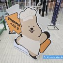 [전시/팝업] 망상리토끼들과 꽃카베이커리(코엑스몰 젤리단길) 방문 후기, 기간
