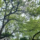 성곽공영주차장 화장실 이미지