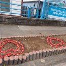 칠십리로 이미지