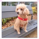 아이조아요양보호소 대구점 이미지