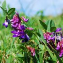 도리초등학교 이미지