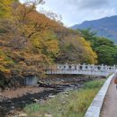 가을여행 이미지