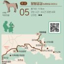 남해-251 이미지