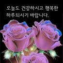 야외정원 스케치 이미지