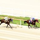 (주)기수산업 이미지