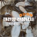 부부로1 | 🎣 대천항 갑오징어 선상낚시 후기 | 부부 낚시 데이트