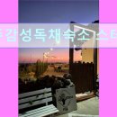 제주스테이 비움 | 제주도 여행 숙소 추천 제주감성독채숙소 스테이비움 제주감성독채숙소에서 프라이빗한 시간을