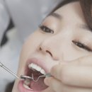 365뿌리치과 네이버블로그