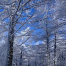 2월 3일 토요당일 - 겨울 눈꽃 명소 횡성 태기산 산행 안내 - 신청하기 이미지