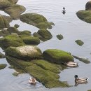 바다새민박 이미지