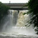 천제연폭포 이미지