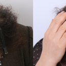 맥스웰의원 이미지