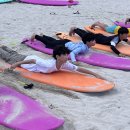 성읍초등학교 병설유치원 이미지