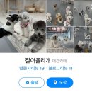 잘어울리개 이미지