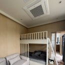 코코앤망고 | 반려동물과 함께하는 밀양풀빌라 코코앤망고