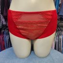 뉴 비너스 이미지