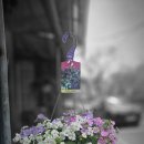 블라썸(Blossom) 이미지