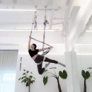 인사이드에어리얼요가 | 에어리얼 요가🌸 플라잉요가[근력&코어강화]
