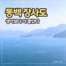 통영 장사도 카멜리아 해상공원 후기 | 유람선, 동백, 포토존까지 솔직 기록
