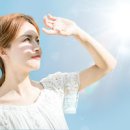 비타민D 효능 복용법 섭취시간 하루권장량 햇빛 결핍 이미지