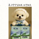 휴그린매트 | 냄새·흡수·위생 다 잡았다! 애견패드로 써본 휴그린 안심매트 리얼 체험기