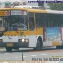 대창슈퍼 이미지