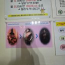 점핑클레이랑 쿠키랑 (A) | 신나는 운동과 스트레스해소🤍 양산 아이러브바디 점핑센터