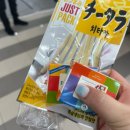 주류박스 | 2026 수원주류박람회 경기주류관광페스타 방문 후기🍷 (feat. 얼리버드 혜택)