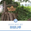 판관 조병로 불망비 | 금강변의 풍광이 좋은 마암나루와 청벽산 주변의 소소한 풍경