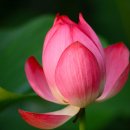 시흥등기소 이미지