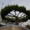 외도2축구장 이미지