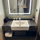 라마다모텔 | [대전 호텔 추천] 유성온천역 대전라마다호텔 내돈내산 후기