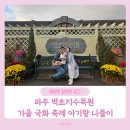 혜음로 | 파주 벽초지수목원 가을국화축제 아기랑 수유실 후기